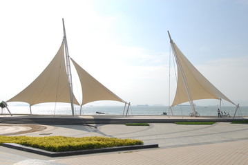 乒乓球正手平击发球的要点是什么？