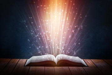 历届女单冠军一览表