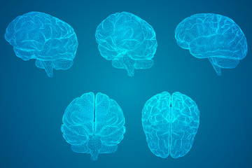 张怡宁和邓亚萍谁更厉害？