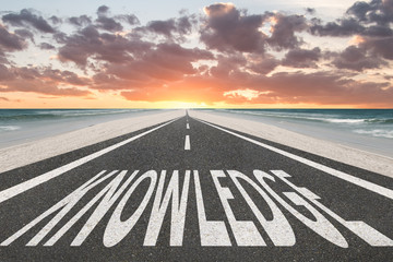 历届女单冠军一览表