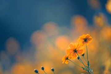 深圳乒乓球私教班机构