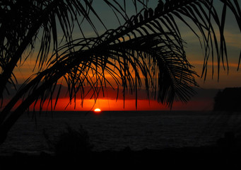 张怡宁和邓亚萍谁更厉害？