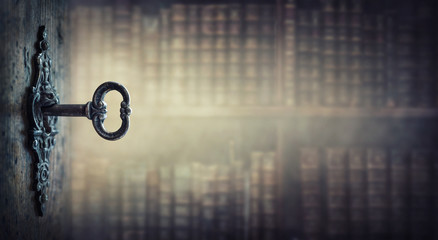 张怡宁和邓亚萍谁更厉害？