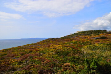 中国乒乓球运动员排行榜前十名