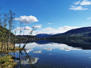 张怡宁和邓亚萍谁更厉害？