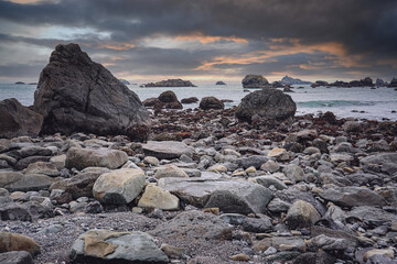 历届女单冠军一览表