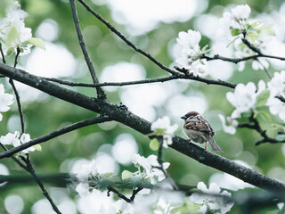 乒乓球拍（横拍）反手长胶的打法