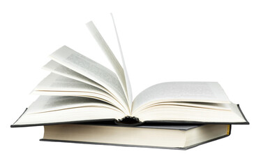 历届女单冠军一览表