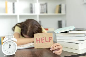 张怡宁和邓亚萍谁更厉害？