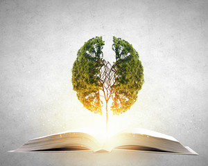 乒乓球的规则是什么？