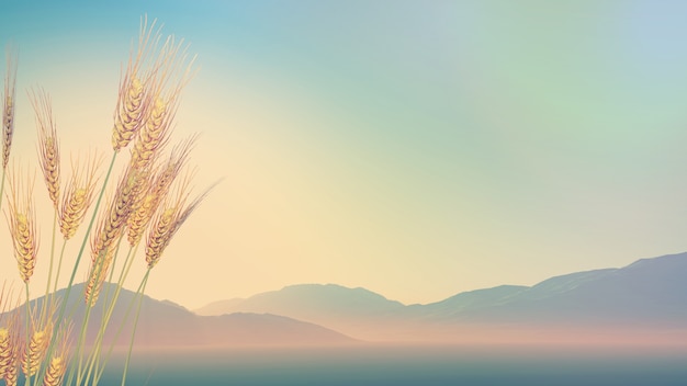 历届女单冠军一览表