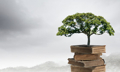 乒乓球发球技巧