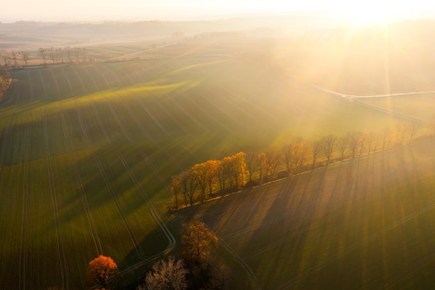 形容乒乓球运动员风采的词语