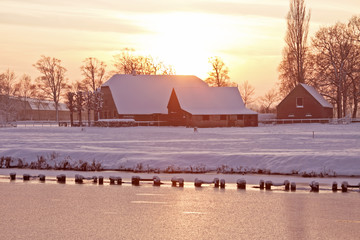 历届女单冠军一览表